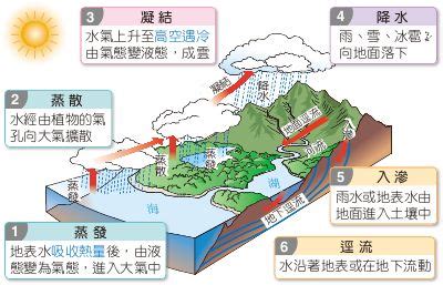 徑流意思|地表逕流